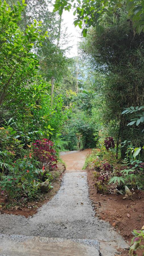 Pepper County Farm Stay Munnar Exterior photo
