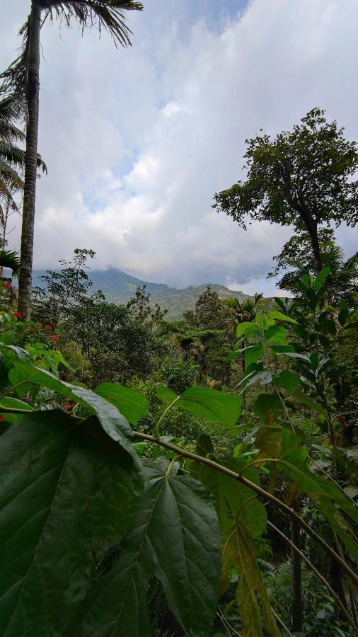 Pepper County Farm Stay Munnar Exterior photo
