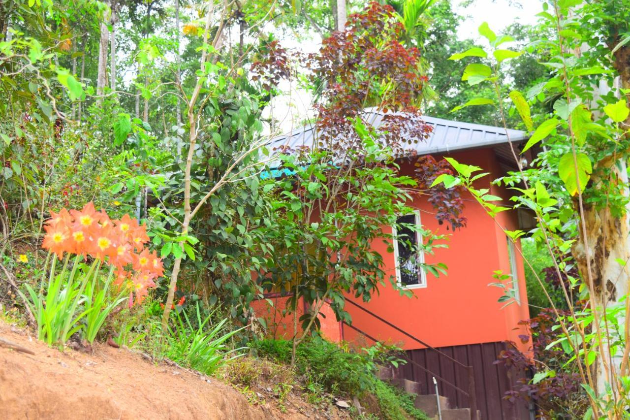Pepper County Farm Stay Munnar Exterior photo